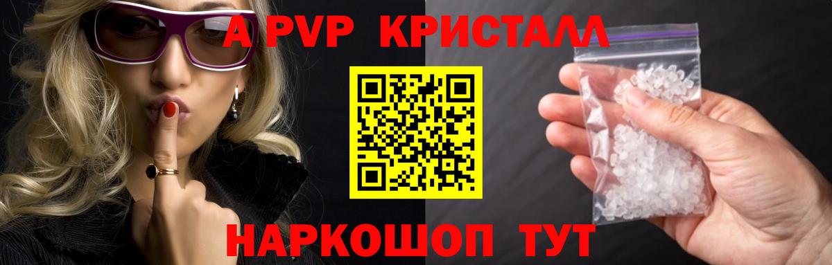 A-PVP СК Сальск