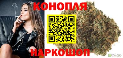 прущие крисы Пугачёв