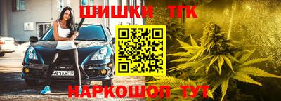 прущие крисы Пугачёв