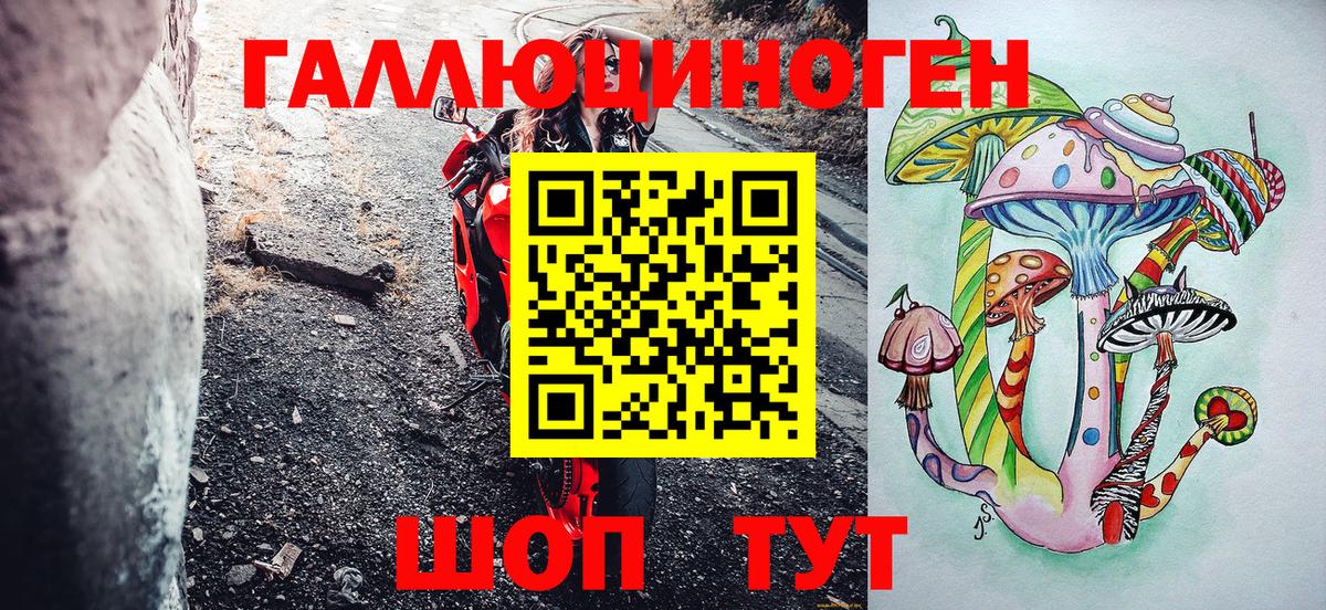 Псилоцибиновые грибы Сальск