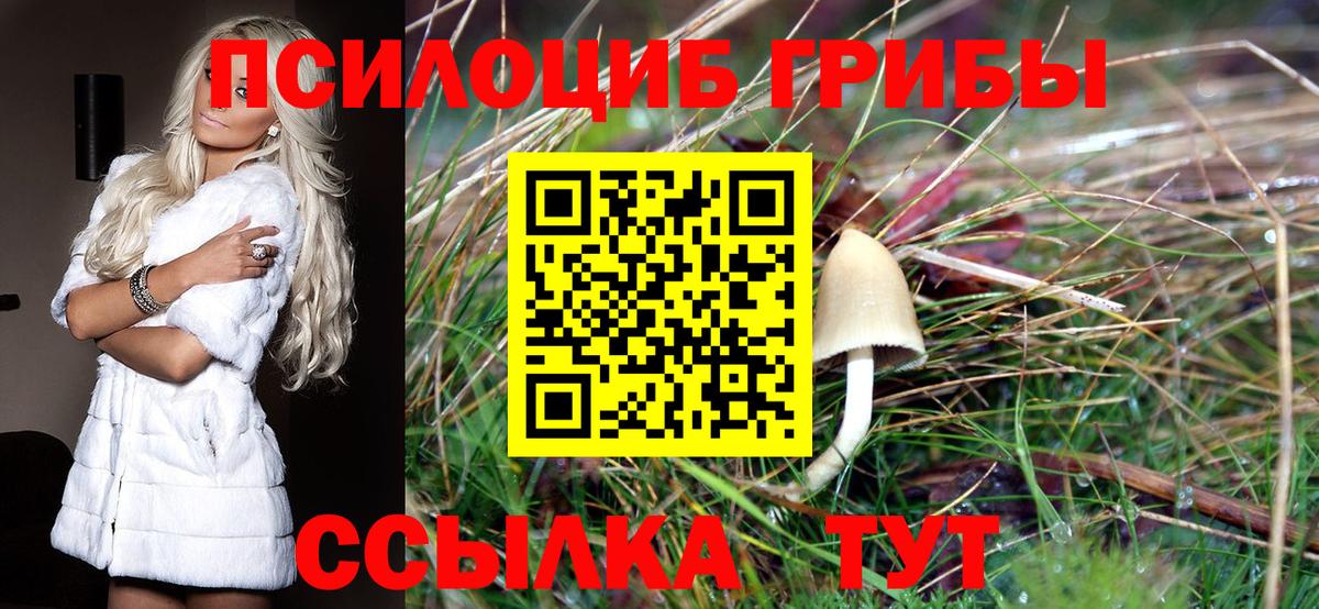 Псилоцибиновые грибы Psilocybine cubensis  Вход с VPN  Сальск 